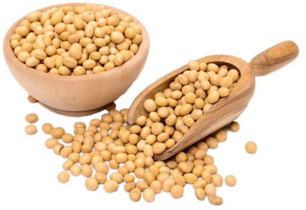 Soy Bean 20kg